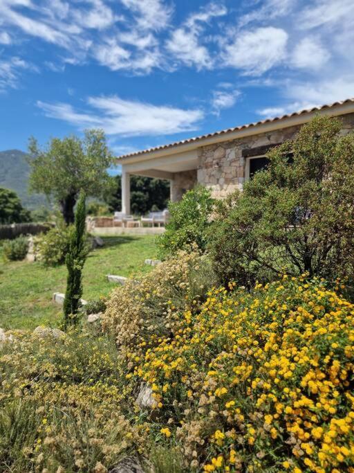 Maison Type Bergerie Proche Porto-vecchio Villa *