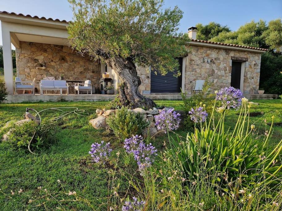 Maison Type Bergerie Proche Porto-vecchio *