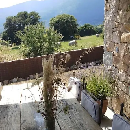 Maison Type Bergerie Proche Porto-Vecchio Extérieur photo