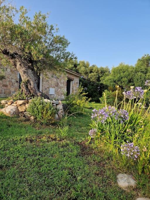 Maison Type Bergerie Proche Porto-vecchio Porto-Vecchio (Corsica)